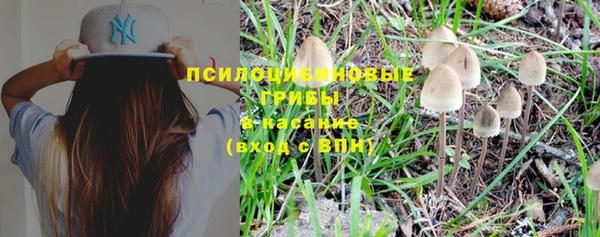 apvp Ессентукская