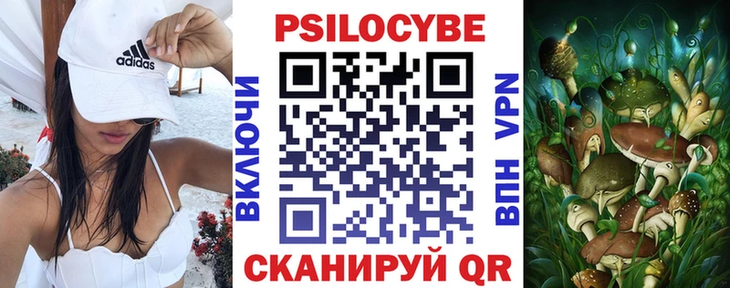 Псилоцибиновые грибы прущие грибы  Петрозаводск 